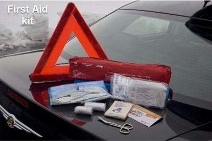 Picture of Reneged -First Aid kit