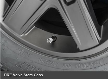 Picture of Reneged- TIRE Valve Stem Caps